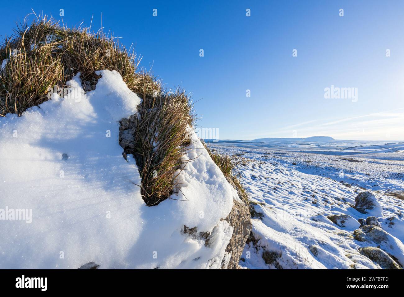 Yorkshire Dales im Schnee, mit einem Fernblick auf Pen-y-ghent, der sich über der gefrorenen Landschaft erhebt. An einem sonnigen Tag mit blauem Himmel und ohne Wolken. Stockfoto