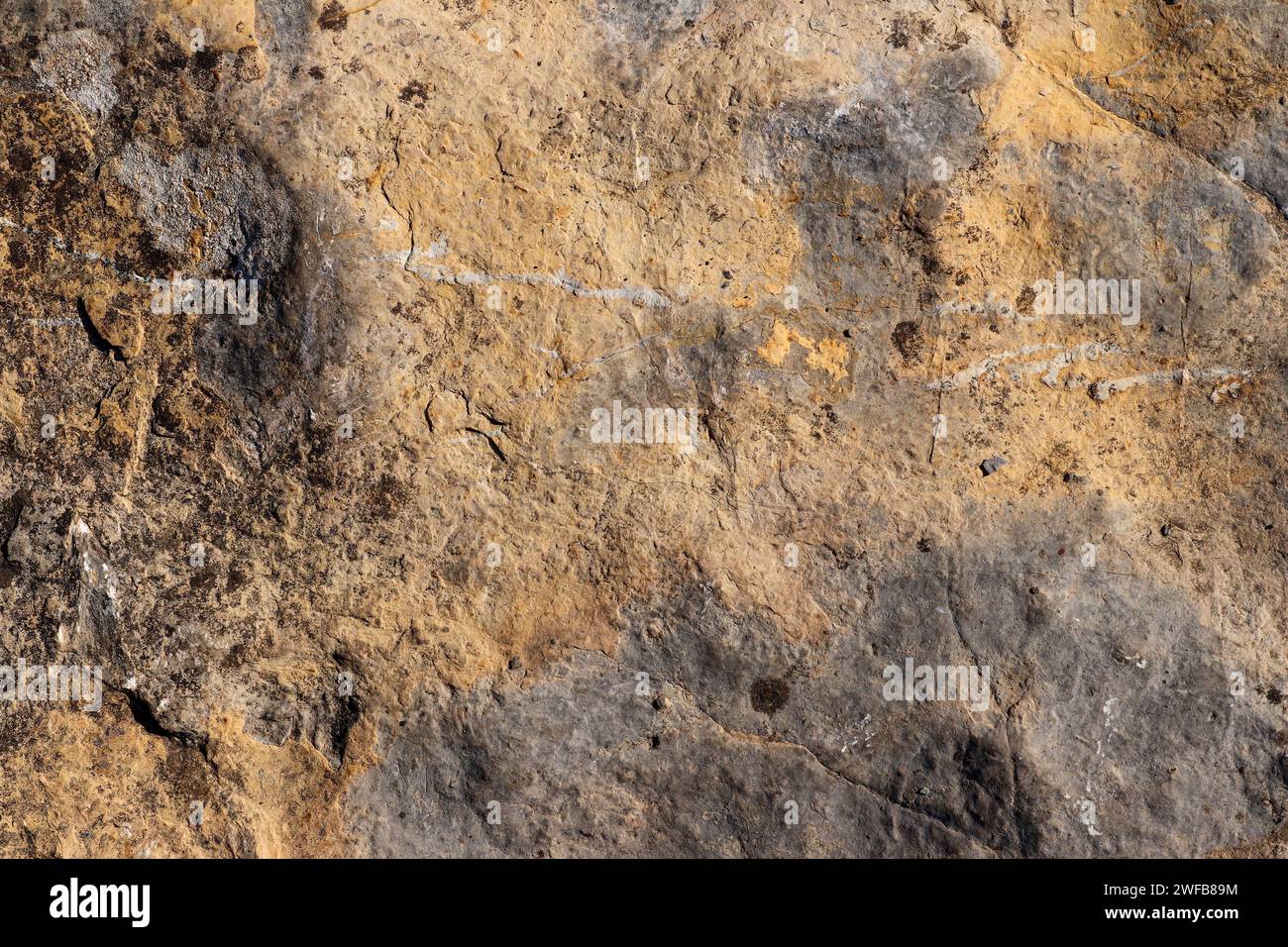 Verwitterte Oberfläche aus Sandsteingestein, natürliche Textur Stockfoto