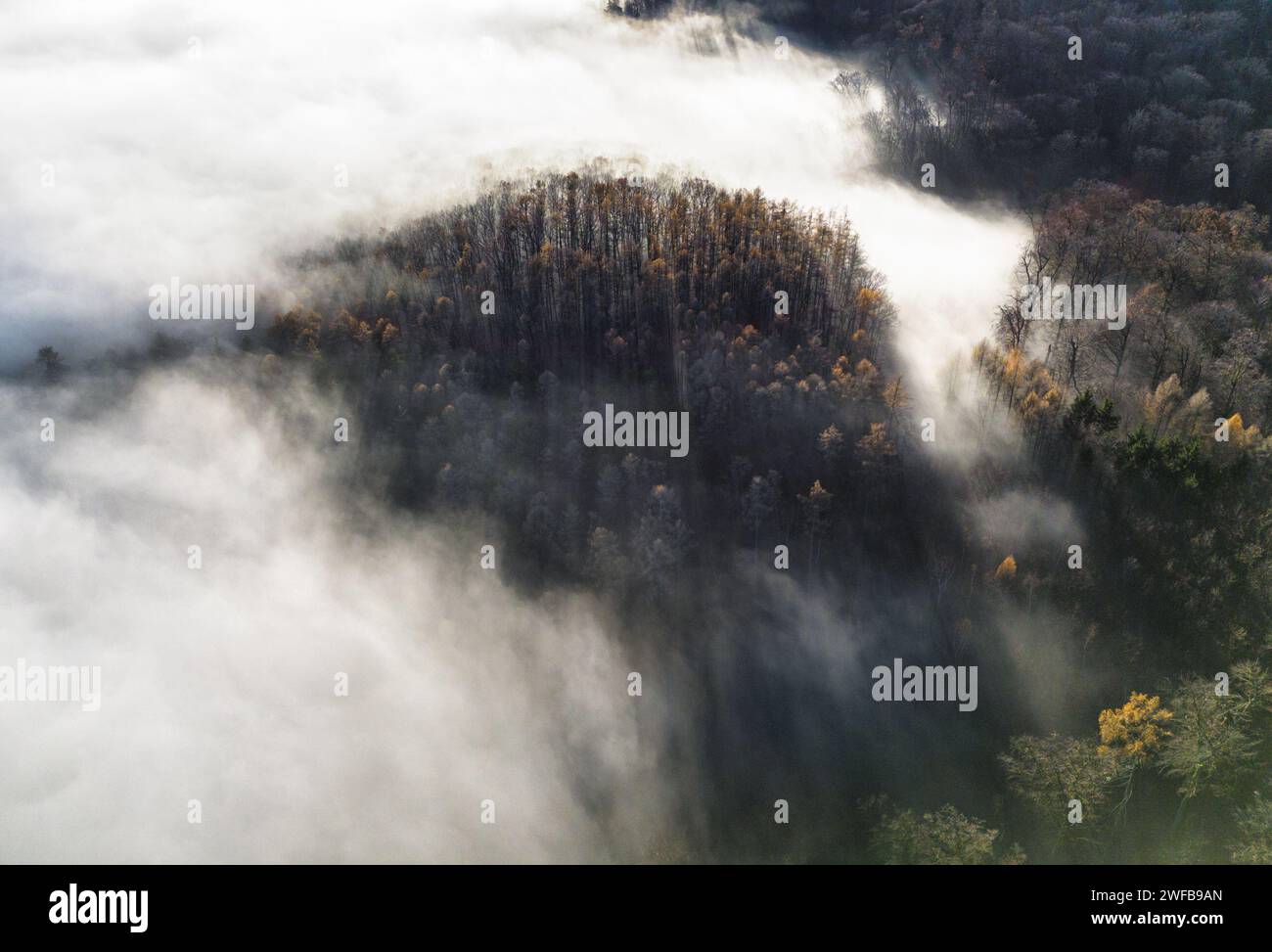 Nebel und Nebel über Bergwald Stockfoto