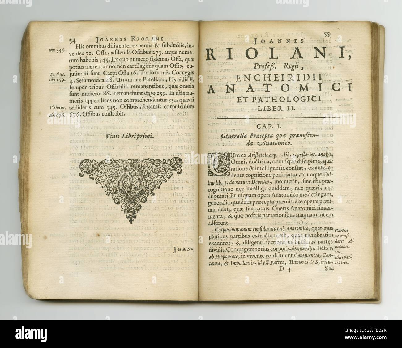 Altes Buch, Jahrgang und Seiten lateinischer Literatur, Manuskripte oder antike Schriften oder antike Schriften vor einem Atelierhintergrund. Nahaufnahme des historischen Romans Stockfoto