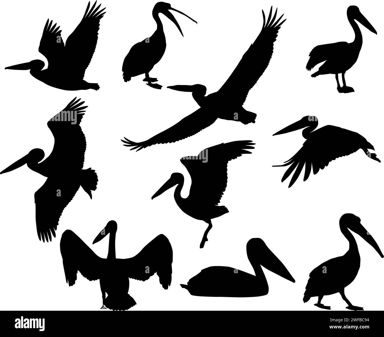 Sammlung von Silhouetten von Pelikanvögeln Stock Vektor