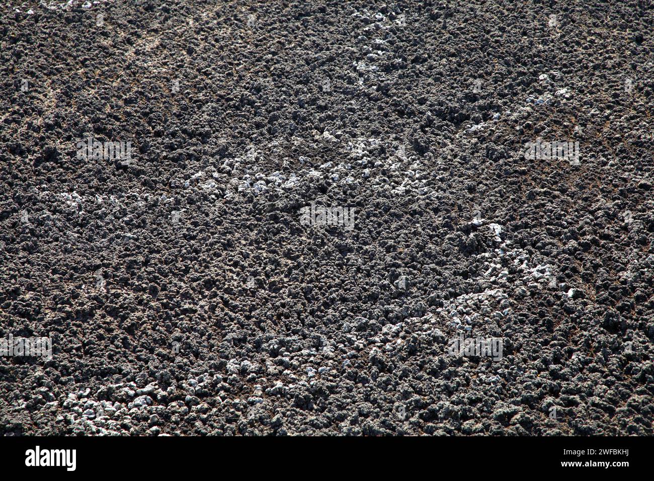 Die Trocknung von Kot in einem speziellen Teich. See zur Abwasserentwässerung. Die Trocknung von Kot in einem Spezialteich für organische Düngemittel. Stockfoto