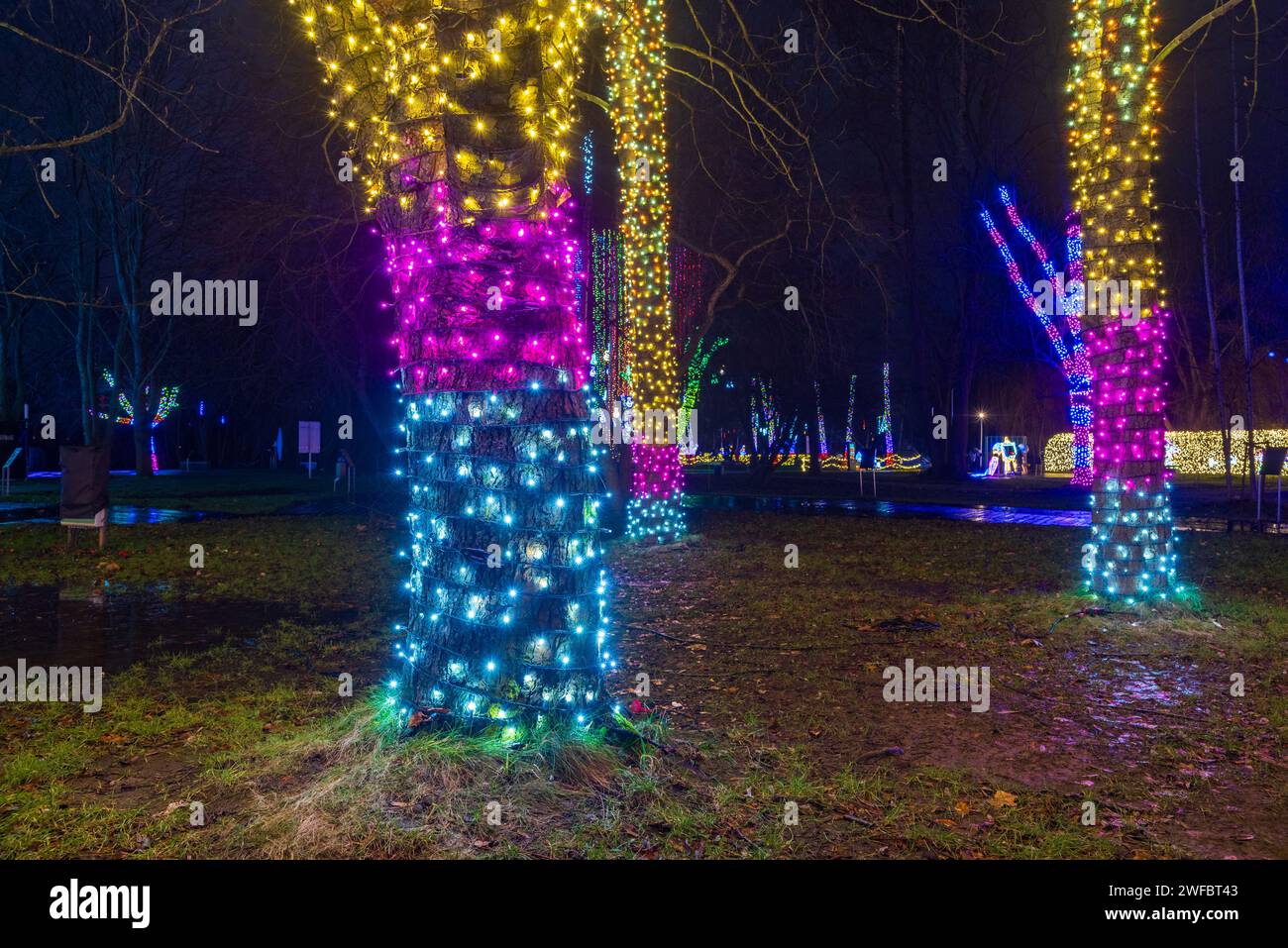 KRAKAU, POLEN - 25. DEZEMBER 2023: Schlumpfausstellung im Garten des Lichts während der Weihnachtszeit Stockfoto