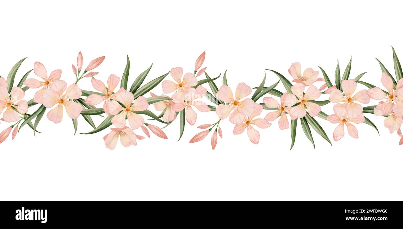 Nerium Oleander blüht mit Knospen und Blätter nahtlose Grenze Aquarell isoliert auf weißem Hintergrund. Horizontales Banner mit Blumenmuster in Pastellrosa für W Stockfoto