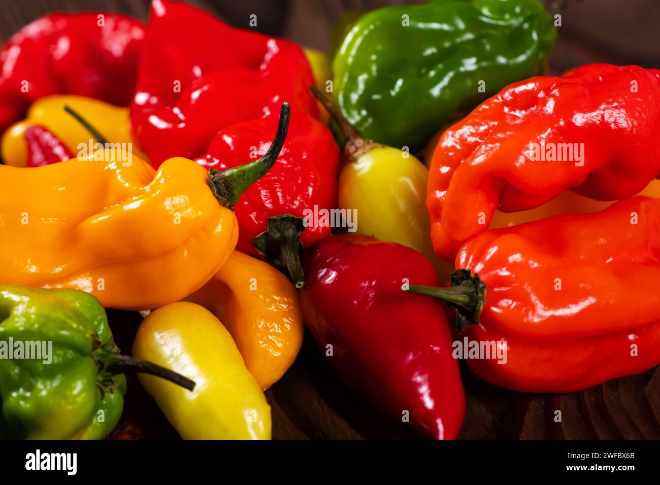 Bunter Haufen organischer Paprika auf dem Markt - rotes, grünes und gelbes Gemüse Stockfoto