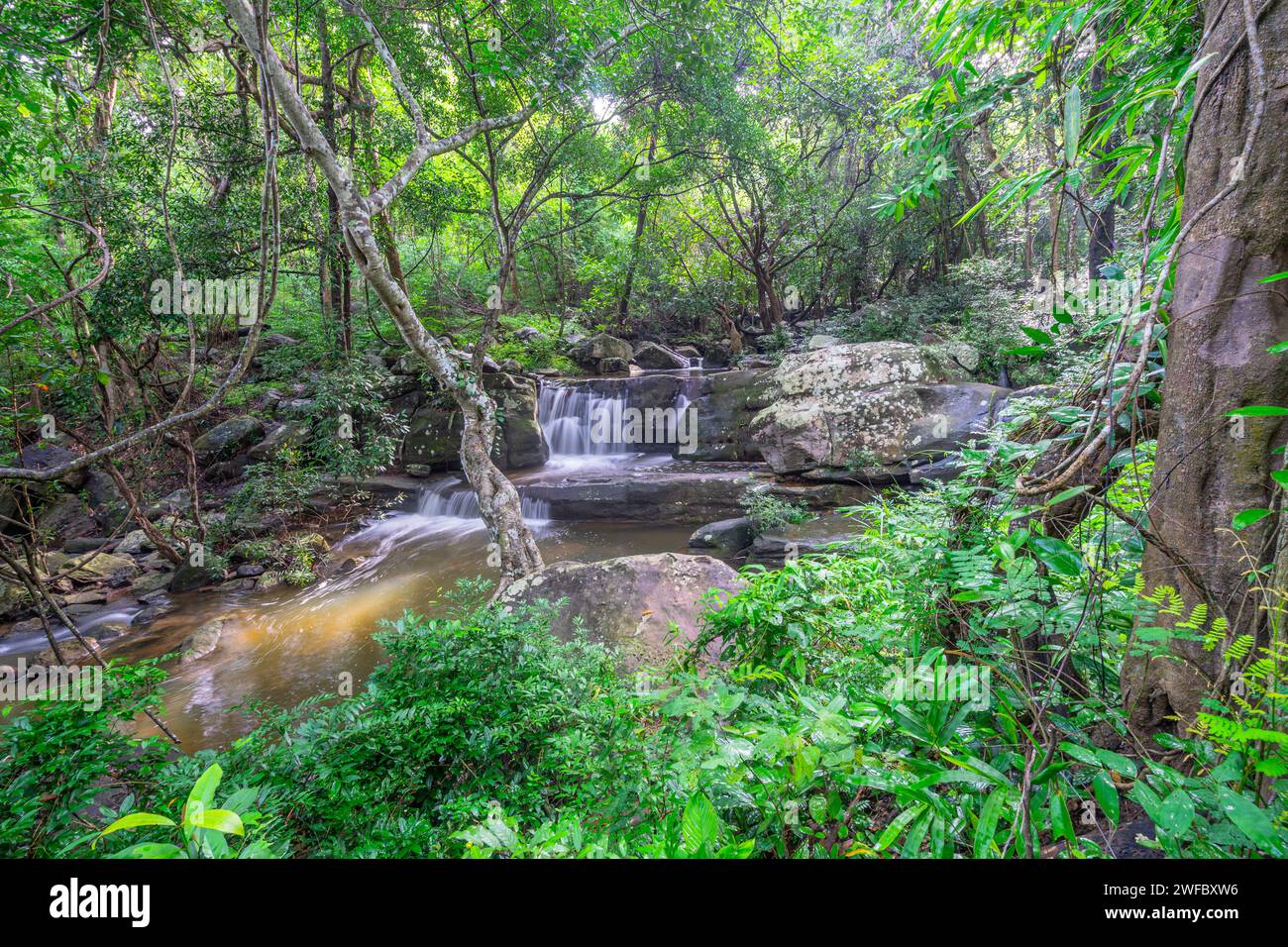 Wasserfall im Waldpark in der Umgebung Namtok Thao zu Forest Park in Nong Bua Lam Phu, Thailand. Stockfoto