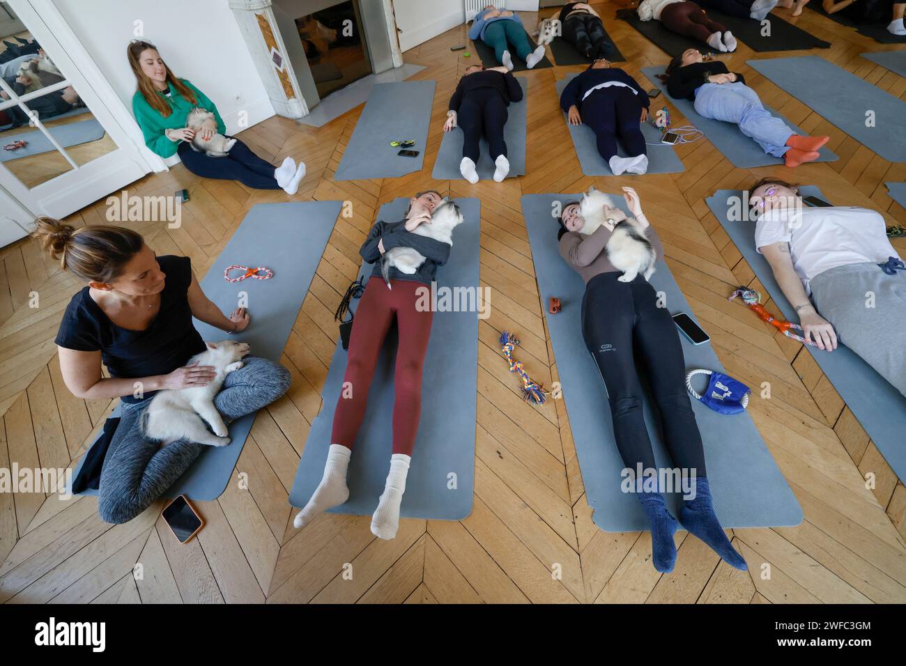 WELPEN YOGA PARIS Stockfoto