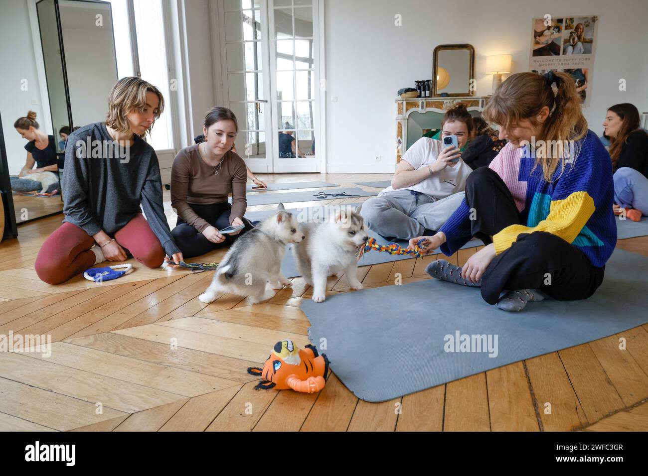 WELPEN YOGA PARIS Stockfoto