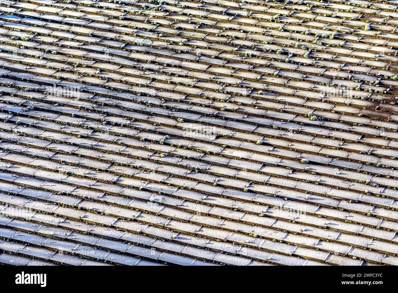 Frühmorgendfrost auf dem Dach des Ziegelhauses - im Zentrum Frankreichs. Stockfoto