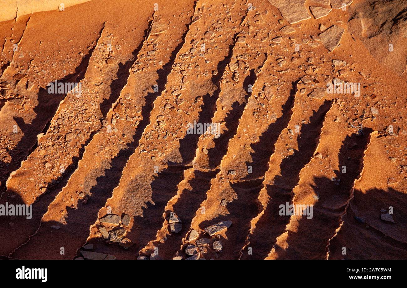 Sehr dünne, zerbrechliche Sandsteinflossen in Navajo-Sandsteinformationen. South Coyote Buttes, Vermilion Cliffs National Monument, Arizona. Geologisch ist der Stockfoto