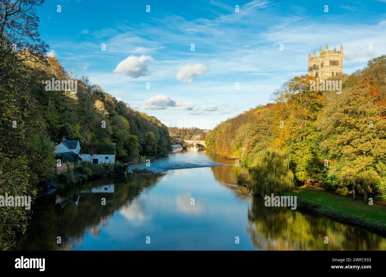 Farbenfrohe Herbstwälder und die Kathedrale von Durham im November am Ufer des Flusses Wear, von der Prebends Bridge, Durham, England, Großbritannien Stockfoto