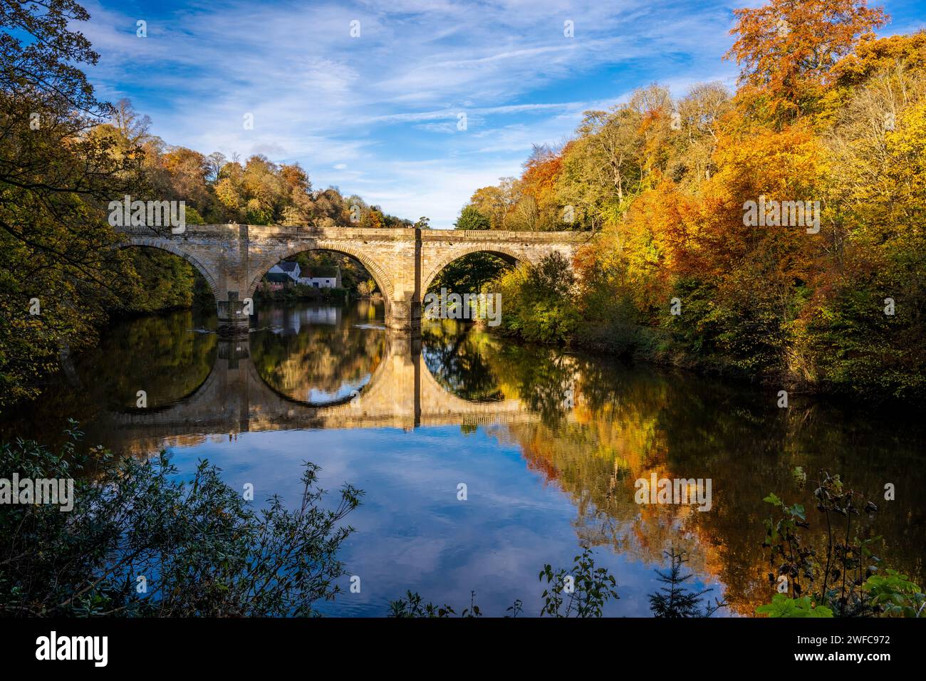 Farbenfrohe Herbstwälder, Prebends Bridge und farbenfrohe Reflexionen in The River Wear im November, Durham, England, Großbritannien Stockfoto