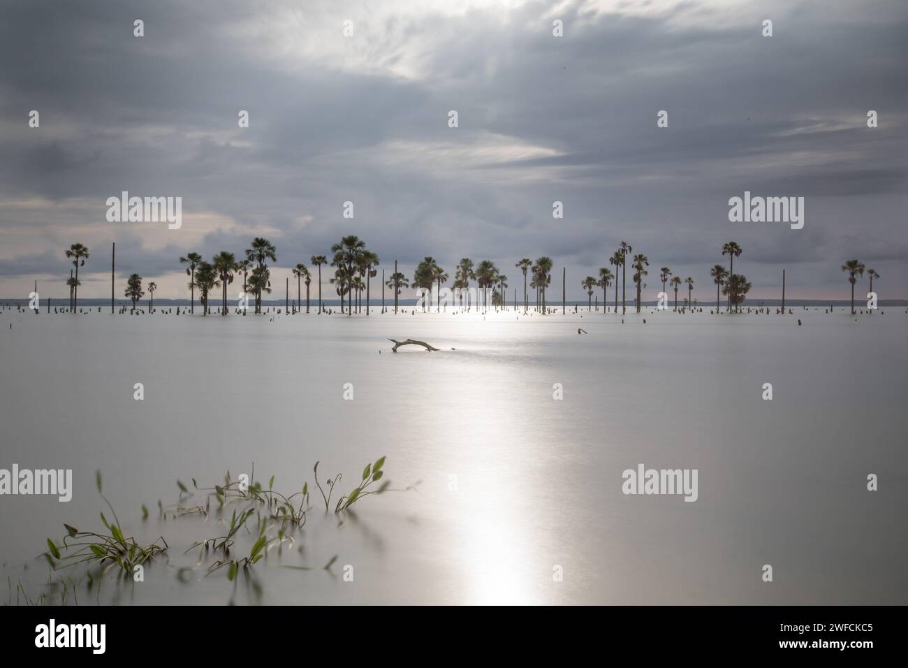 Drone Blick auf Buritis Beach - Tocantins River - Stockfoto