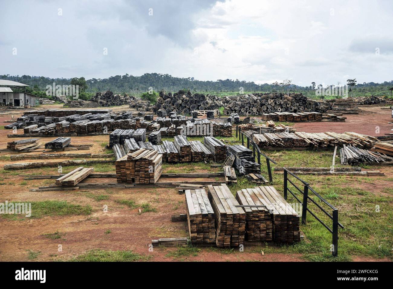 Sägewerksterrasse mit Holz für die Kommerzialisierung vorbereitet - aus dem überfluteten Gebiet für den Bau des Belo Monte Wasserkraftwerks Stockfoto