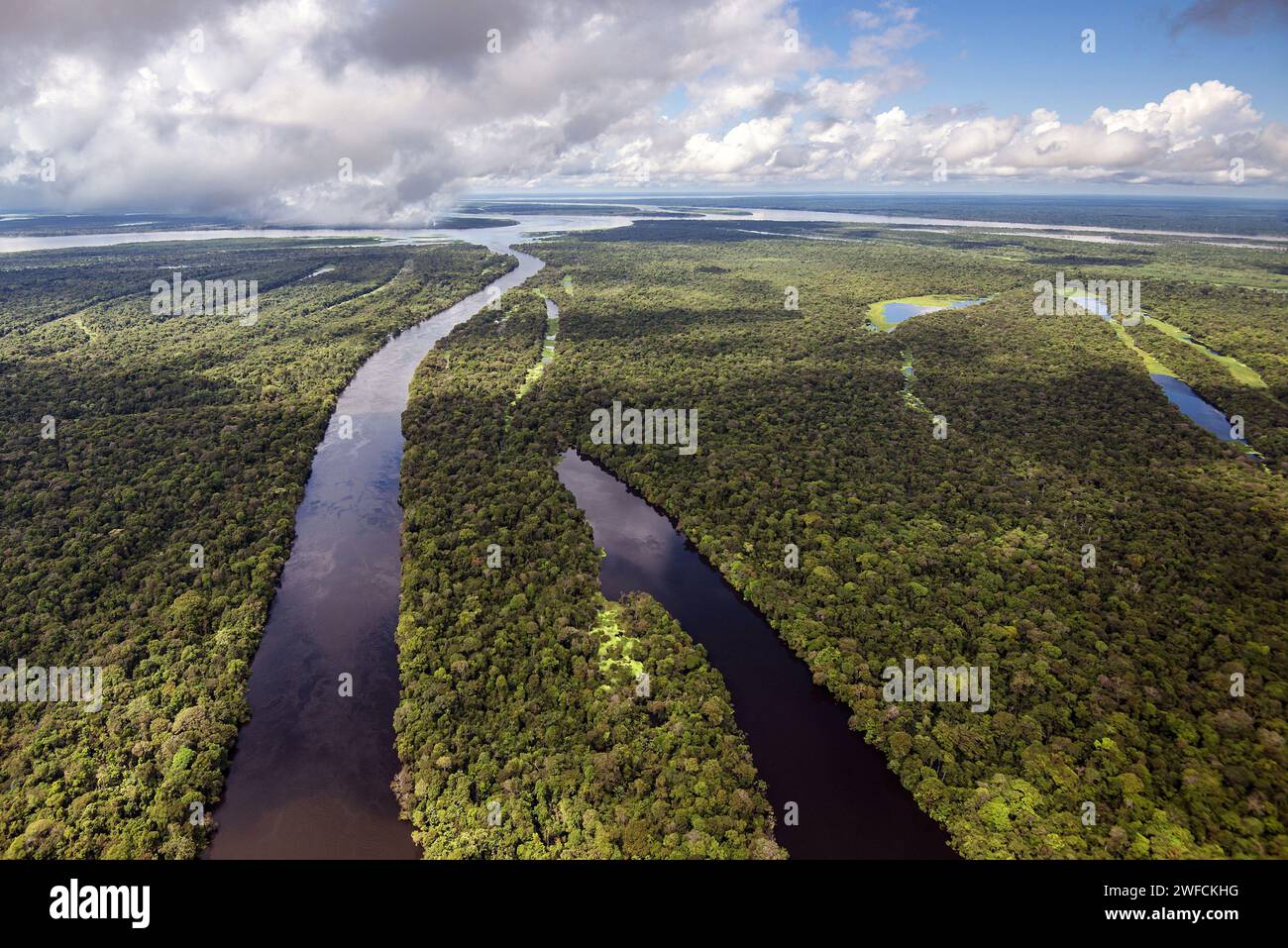 Aus der Vogelperspektive des Japura und des Amazonaswaldes in der nachhaltigen Entwicklung Mamiraua - região do médio curso do rio Solimões Stockfoto