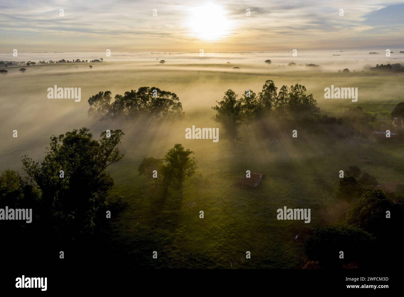 Blick auf die Nebeldrohne bei Sonnenaufgang - Stockfoto