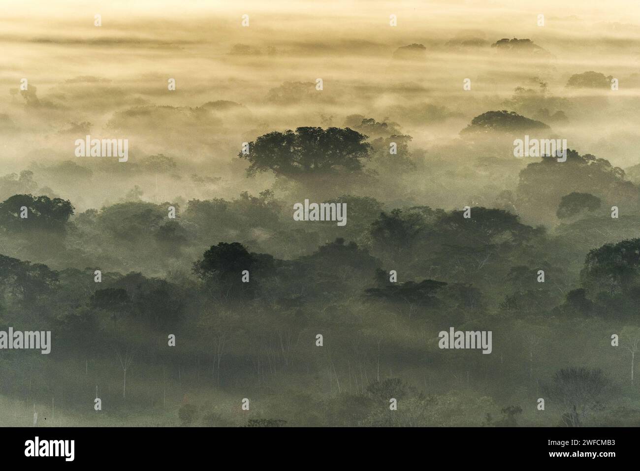 Luftaufnahme des Amazonaswaldes mit Nebel bei Sonnenaufgang - Serra do Divisor Nationalpark - Stockfoto
