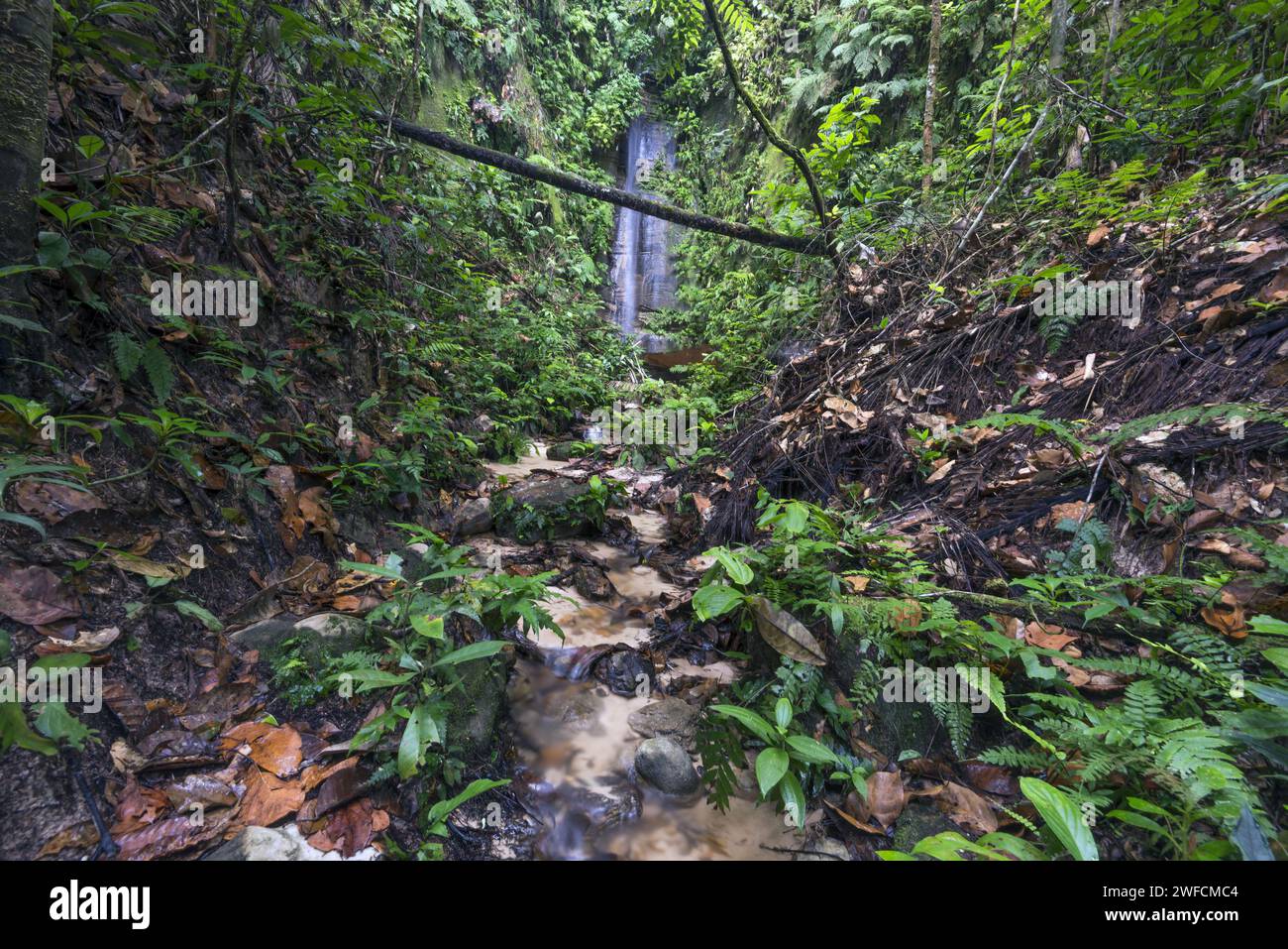 Wasserfall - Serra do Divisor Nationalpark - Stockfoto