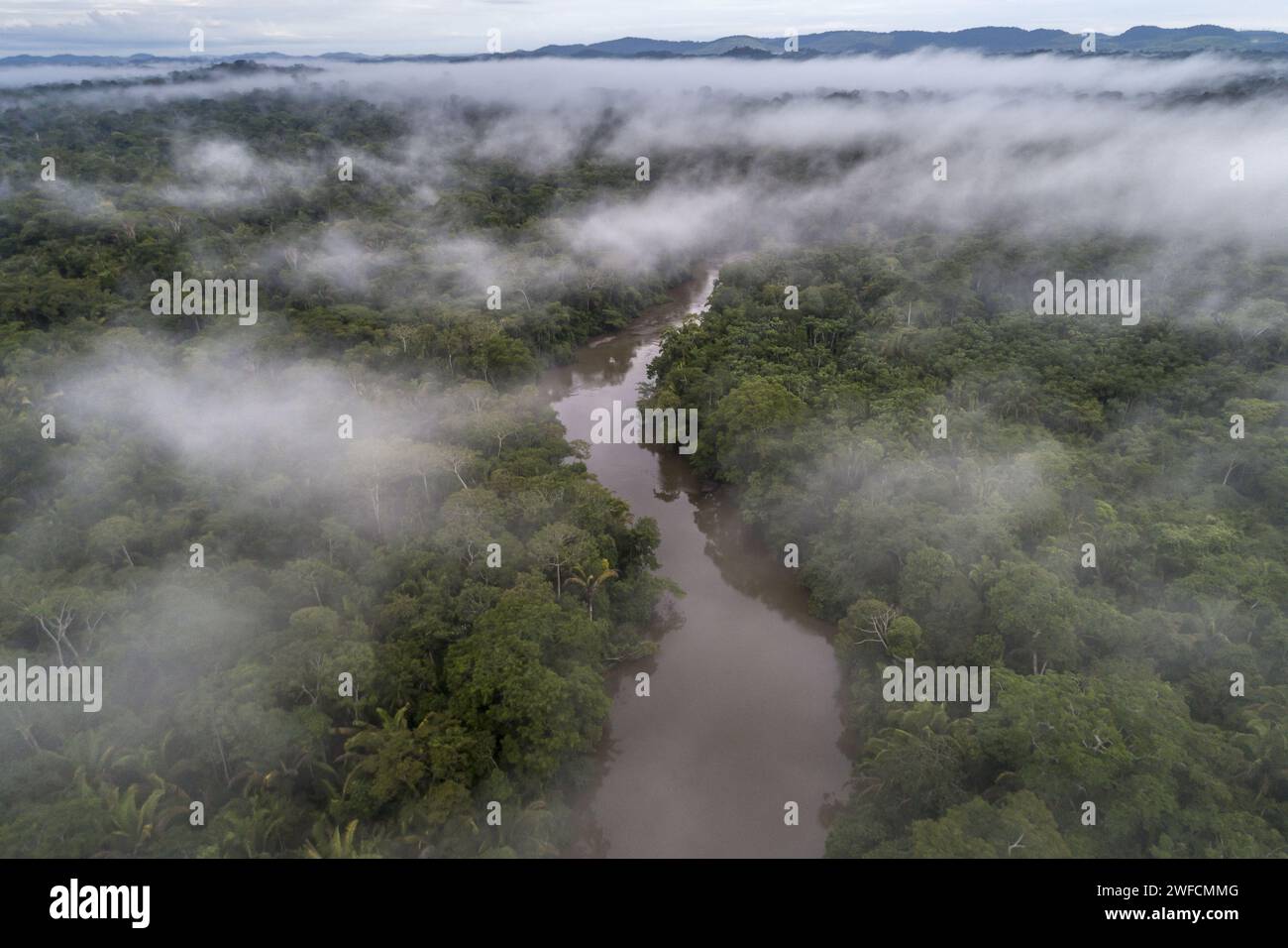 Drohnenblick auf den Jamari River im Amazonas-Regenwald in Uru-eu-wau-wau-Ureinwohner - Stockfoto