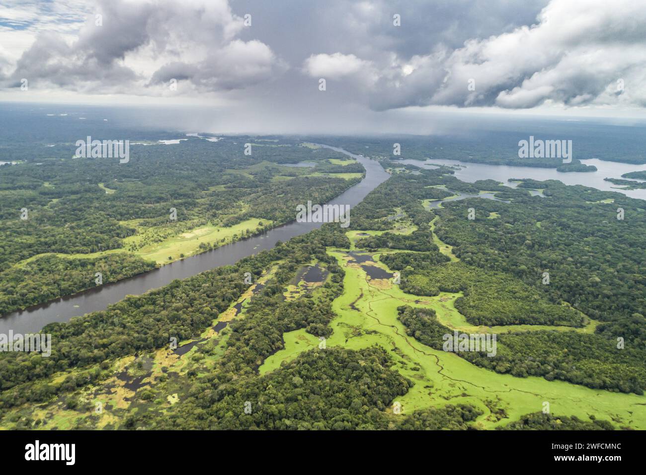 Drohnenblick auf den überfluteten Amazonaswald und den Fluss Paraná do Mamori - Stockfoto