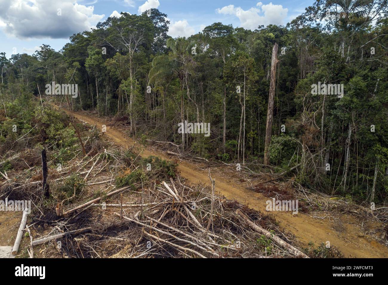 Drohnenansicht der illegalen Entwaldung im Amazonasregenwald - Stockfoto
