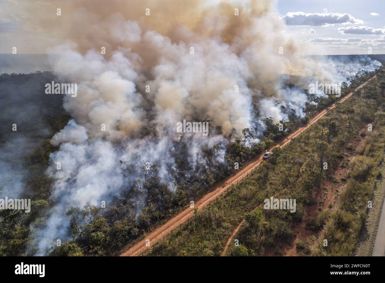 Drohnenansicht des Cerrado-Gebiets von Waldbränden betroffen - Nationalpark Brasília - Stockfoto