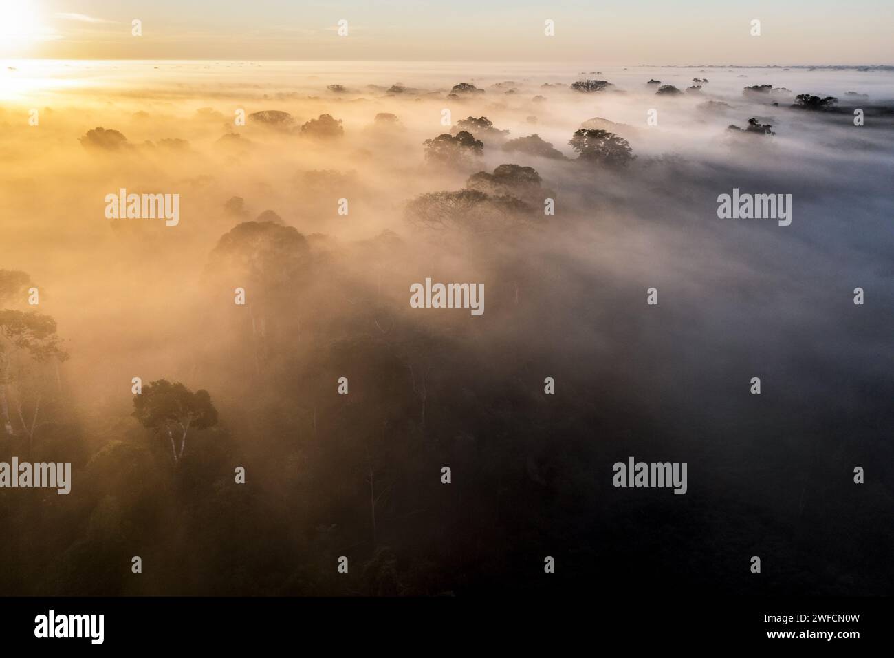 Nebeldrohne Blick über Amazonas Regenwald bei Sonnenaufgang - Serra do Divisor Nationalpark - Stockfoto