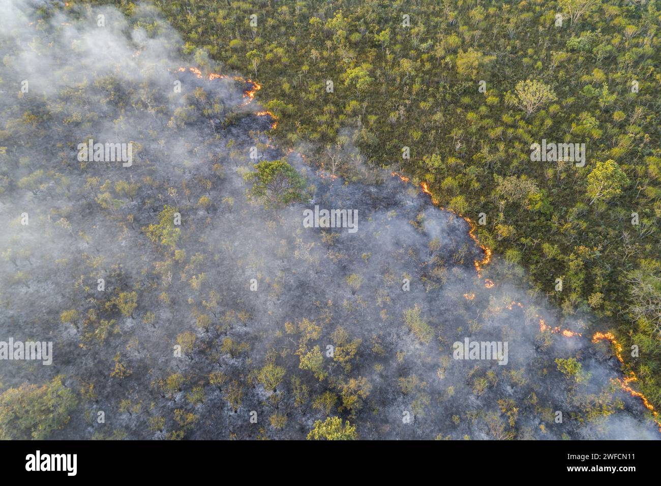 Drohnenansicht der Cerrado-Vegetation durch Waldbrand im Nationalpark Brasília - Stockfoto