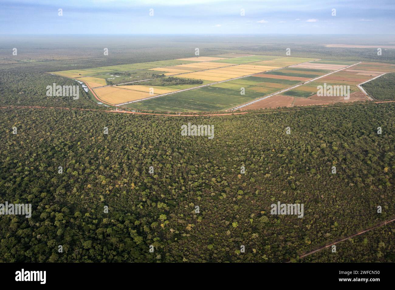 Drohnenansicht der Cerrado-Vegetation und des Reisproduktionsgebiets des Bewässerungsprojekts Luiz Alves do Araguaia - Bezirk Luiz Alves do Araguaia Stockfoto