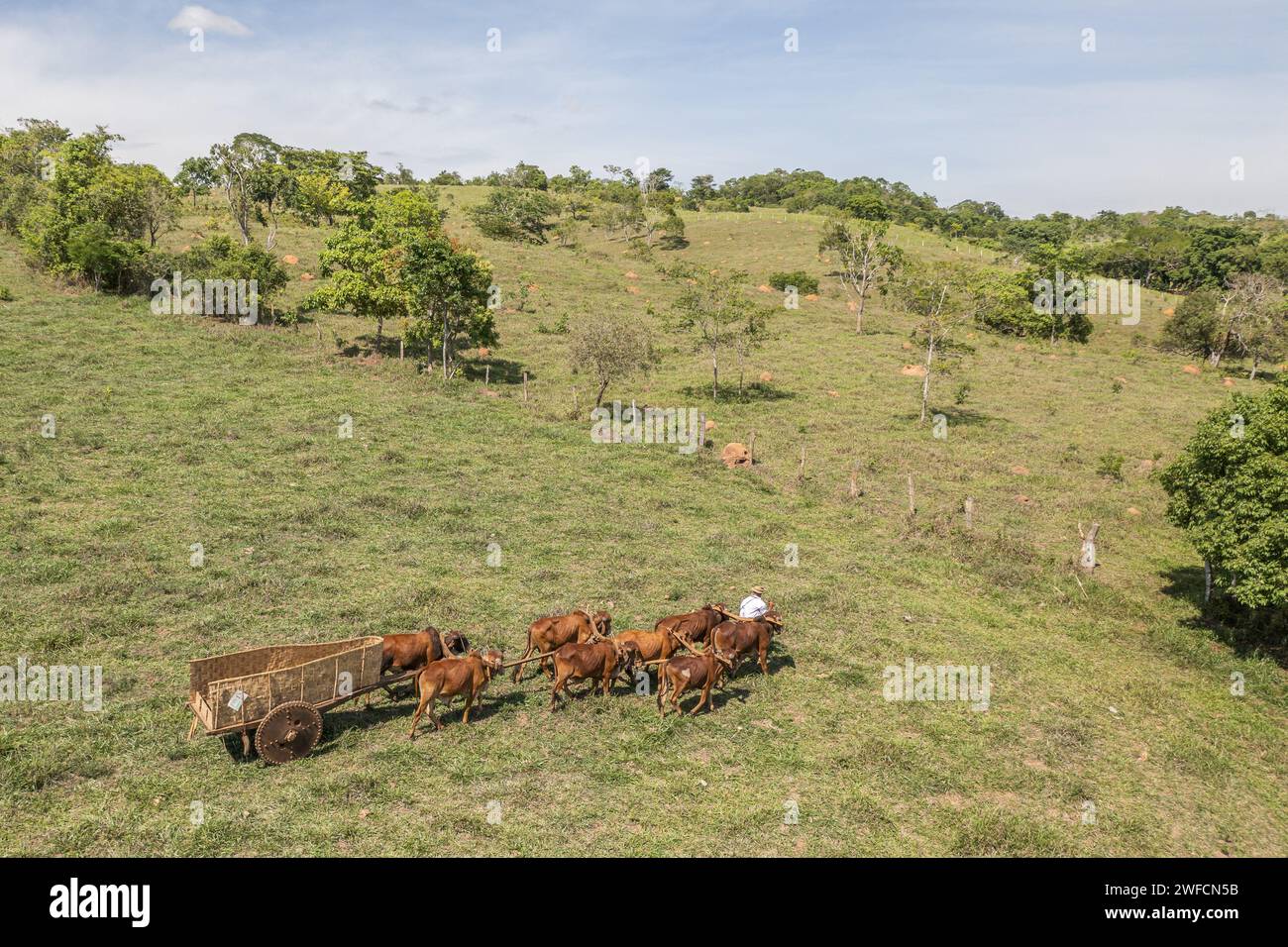 Vista de Drone de trabalhador ländliche Conduzindo carro de bois - distrito de Abadiânia Velha Stockfoto