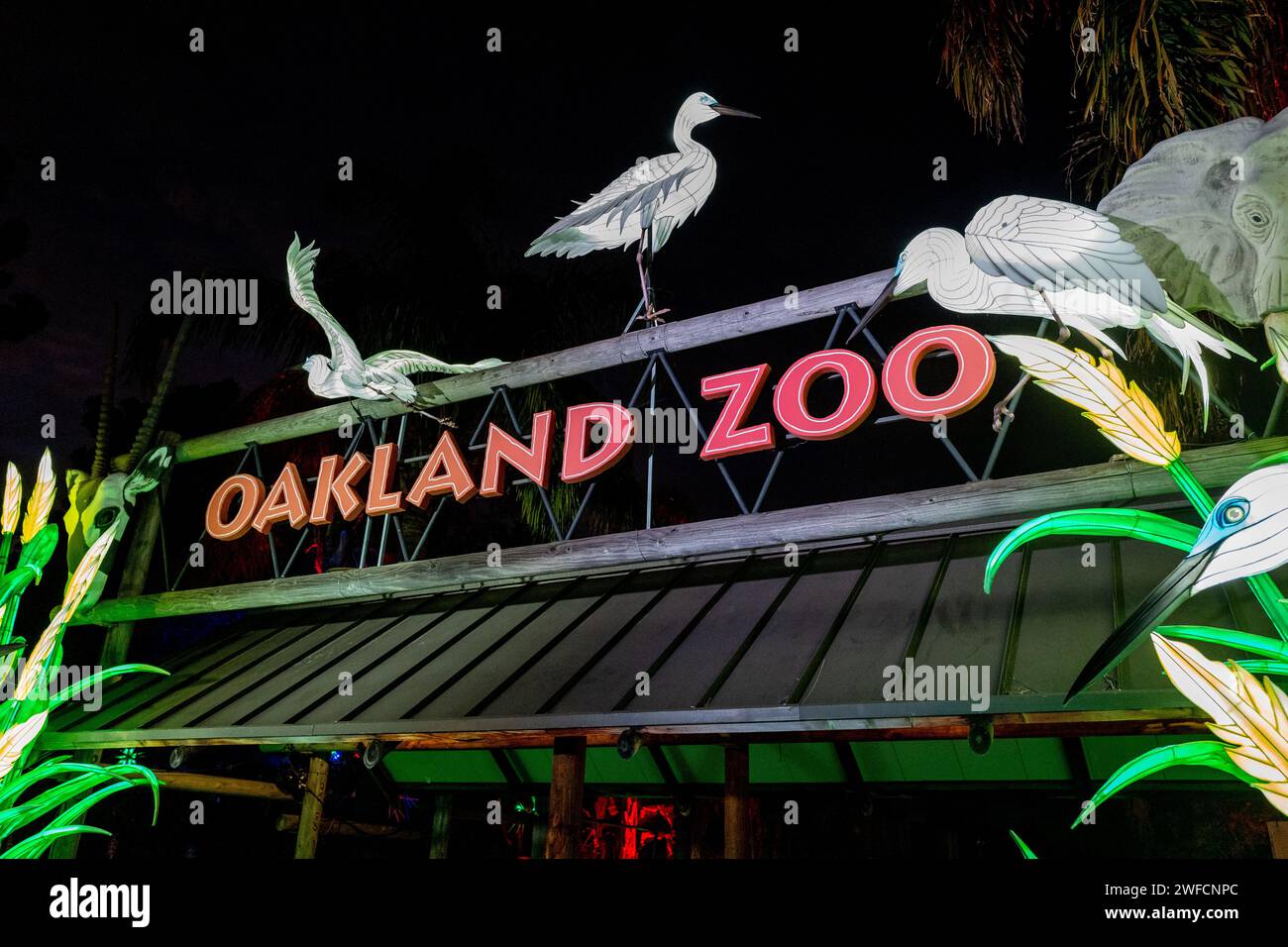 Buntes beleuchtetes Eingangsschild des Oakland Zoo bei Nacht mit dekorativen Glowfari-Vogelskulpturen, Oakland, Kalifornien, 12. Januar 2024. Stockfoto
