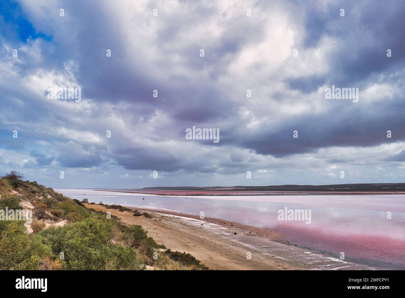 Das Ufer und der Strand des extrem salzigen Pink Lake (Hutt Lagoon) in der Nähe von Port Gregory, Kalbarri, Coral Coast, Western Australia an einem bewölkten Sommertag Stockfoto