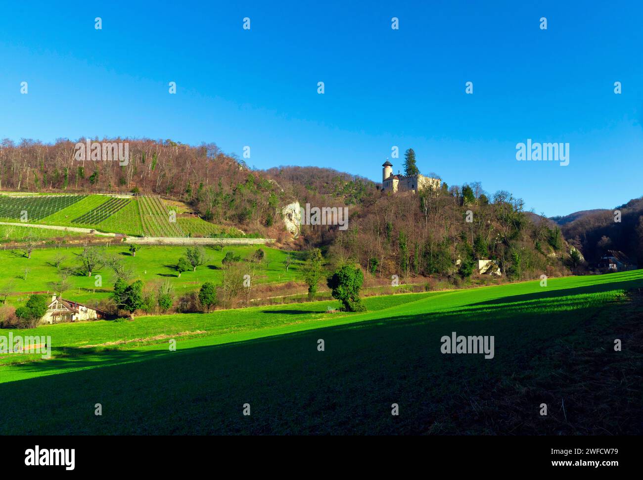 Burg Birseck befindet sich in der Gemeinde Arlesheim im Kanton Basel-Land. Schweiz. Birseck Castle befindet sich auf einer Stockfoto