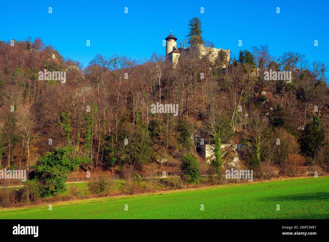 Burg Birseck befindet sich in der Gemeinde Arlesheim im Kanton Basel-Land. Schweiz. Birseck Castle befindet sich auf einer Stockfoto