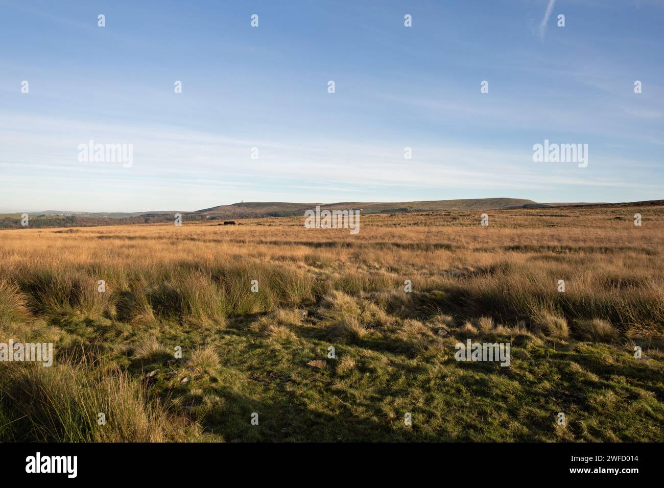 Roddlesworth Moor Die West Pennine Moors Lancashire England Stockfoto