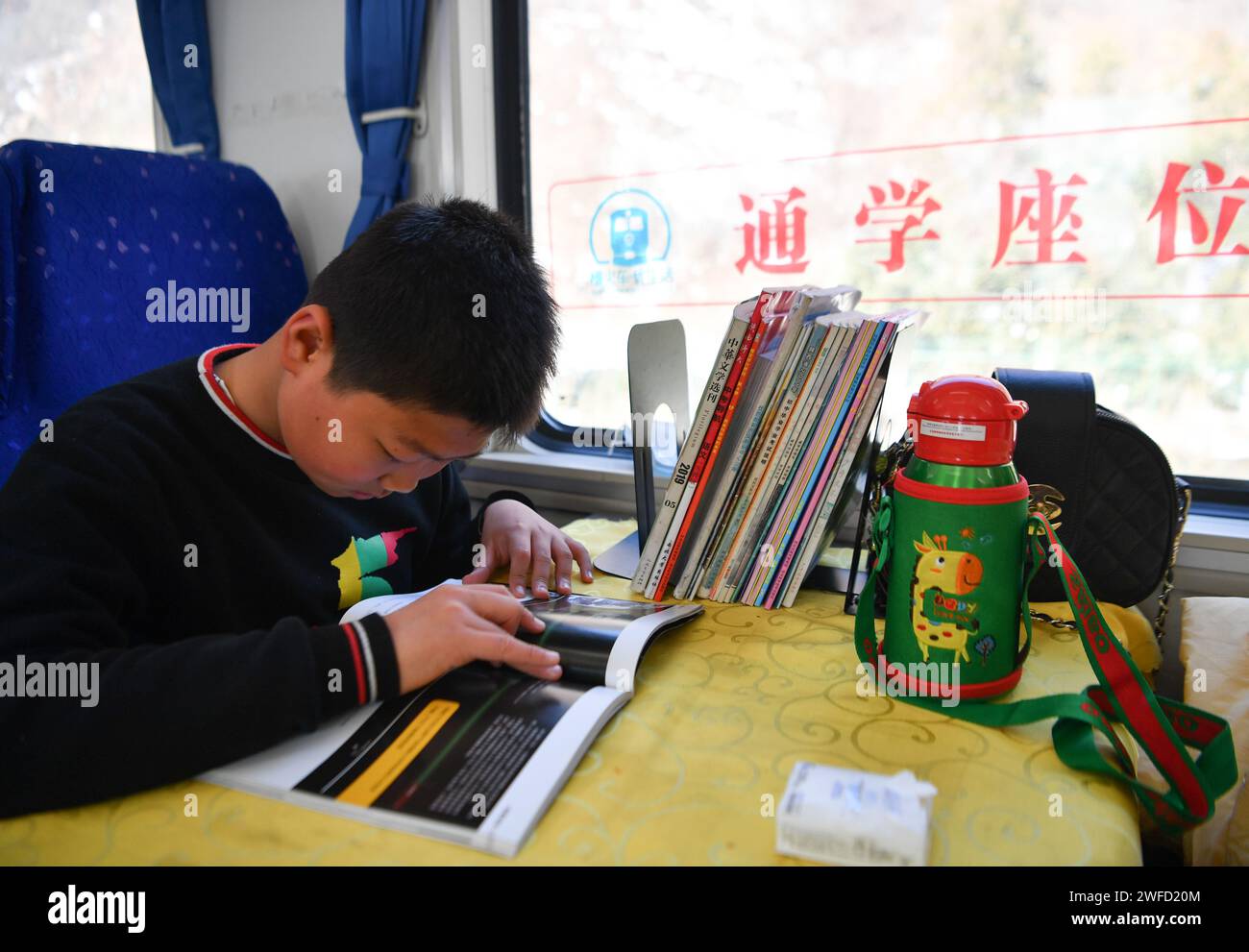 (240130) -- BAOJI, 30. Januar 2024 (Xinhua) -- Ein Schüler liest am 28. Januar 2024 in einem Zug, der auf der Baoji-Chengdu-Bahn fährt. Die Baoji-Chengdu-Eisenbahn, eine wichtige Strecke, die Baoji in der nordwestchinesischen Provinz Shaanxi mit Chengdu in der südwestchinesischen Provinz Sichuan verbindet, wurde 1958 als Chinas erste elektrifizierte Eisenbahnstrecke eröffnet. Aufgrund der Gelände- und Baubedingungen dürfen die auf der Bahn verkehrenden Züge die Geschwindigkeitsgrenze von 80 km/h nicht überschreiten. Für die Menschen im Hinterland des Qinling-Gebirges ist diese Eisenbahn jedoch unverzichtbar und hat sich als sehr positiv erwiesen Stockfoto