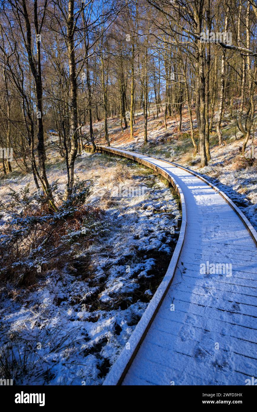 Eine schneebedeckte Promenade durch den Wald bei Brig o' Turk, Trossachs, Stirling, Schottland Stockfoto