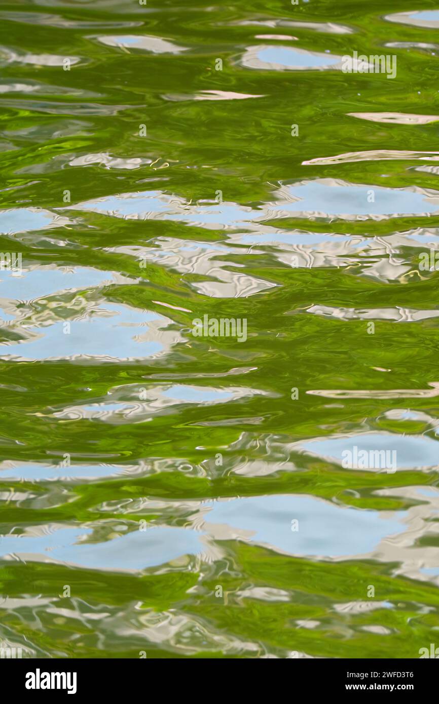 Künstlerisches Wasser wackelt mit grünem Laub und blauen Himmelsreflexen Stockfoto
