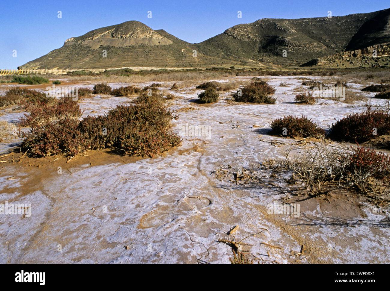 karge Landschaft - Rodalquilar - Parque Natural del Cabo de Gata, Almería, Andalusien, Spanien Stockfoto