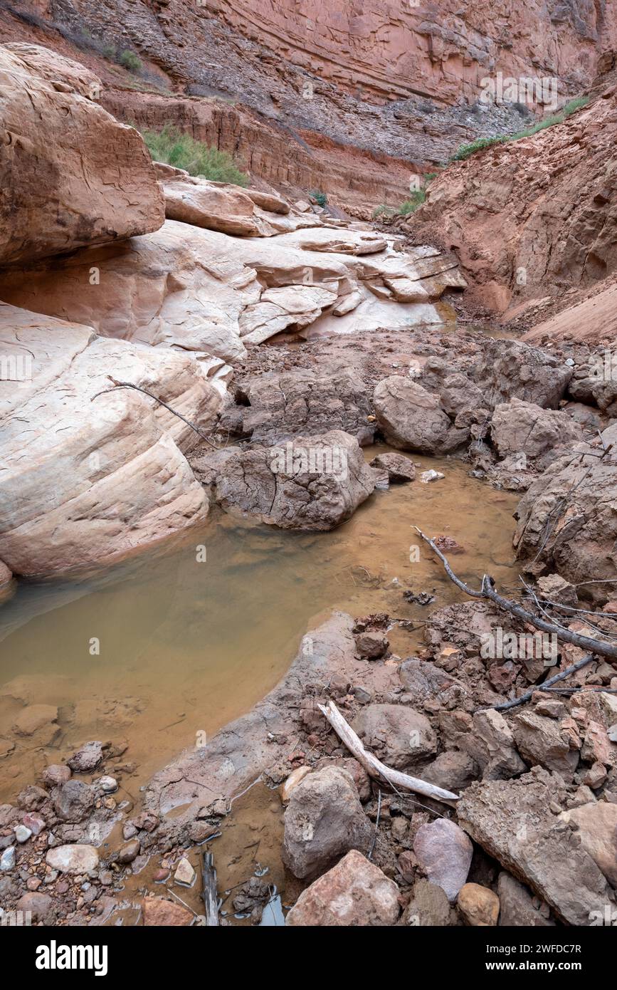 Schlamm aus dem Powell Reservoir erodiert in der Nähe der Mündung des Clearwater Canyon, Cataract Canyon, Utah. Stockfoto