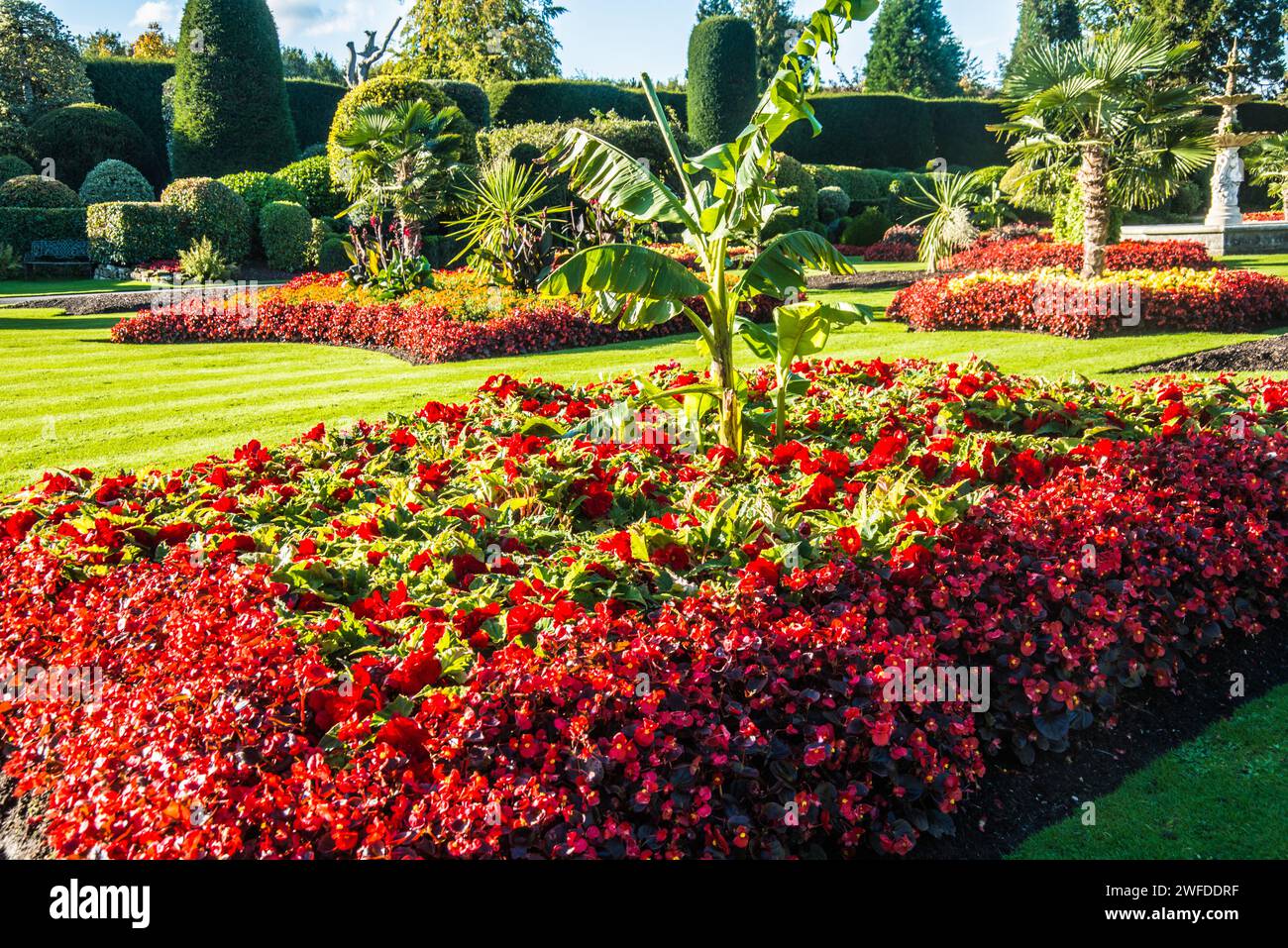 Farbe rot Raymond Boswell Stockfoto