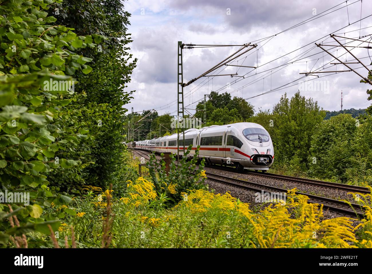 Ein ICE-Expresszug für den Personenfernverkehr zwischen blühenden Pflanzen und Bäumen auf einer Eisenbahnstrecke in Bayern Stockfoto