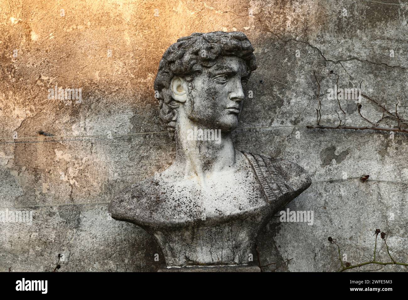 Büste von Michaelangelos David auf der Gartenmauer Stockfoto