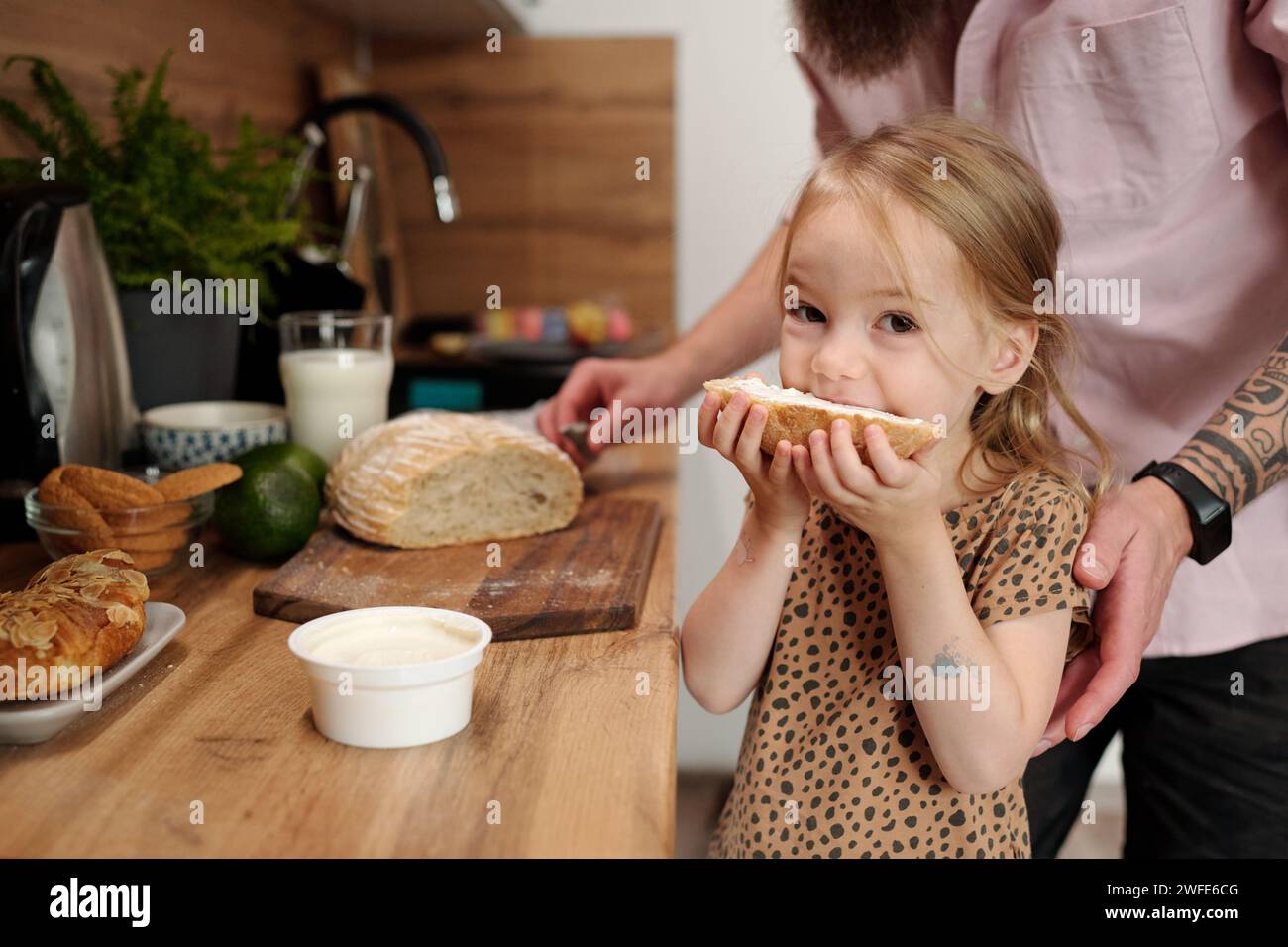 Hungriges kleines Mädchen, das ein großes Sandwich mit Frischkäse isst und in die Kamera blickt, während es an der Küchenzeile gegen ihren Vater steht Stockfoto