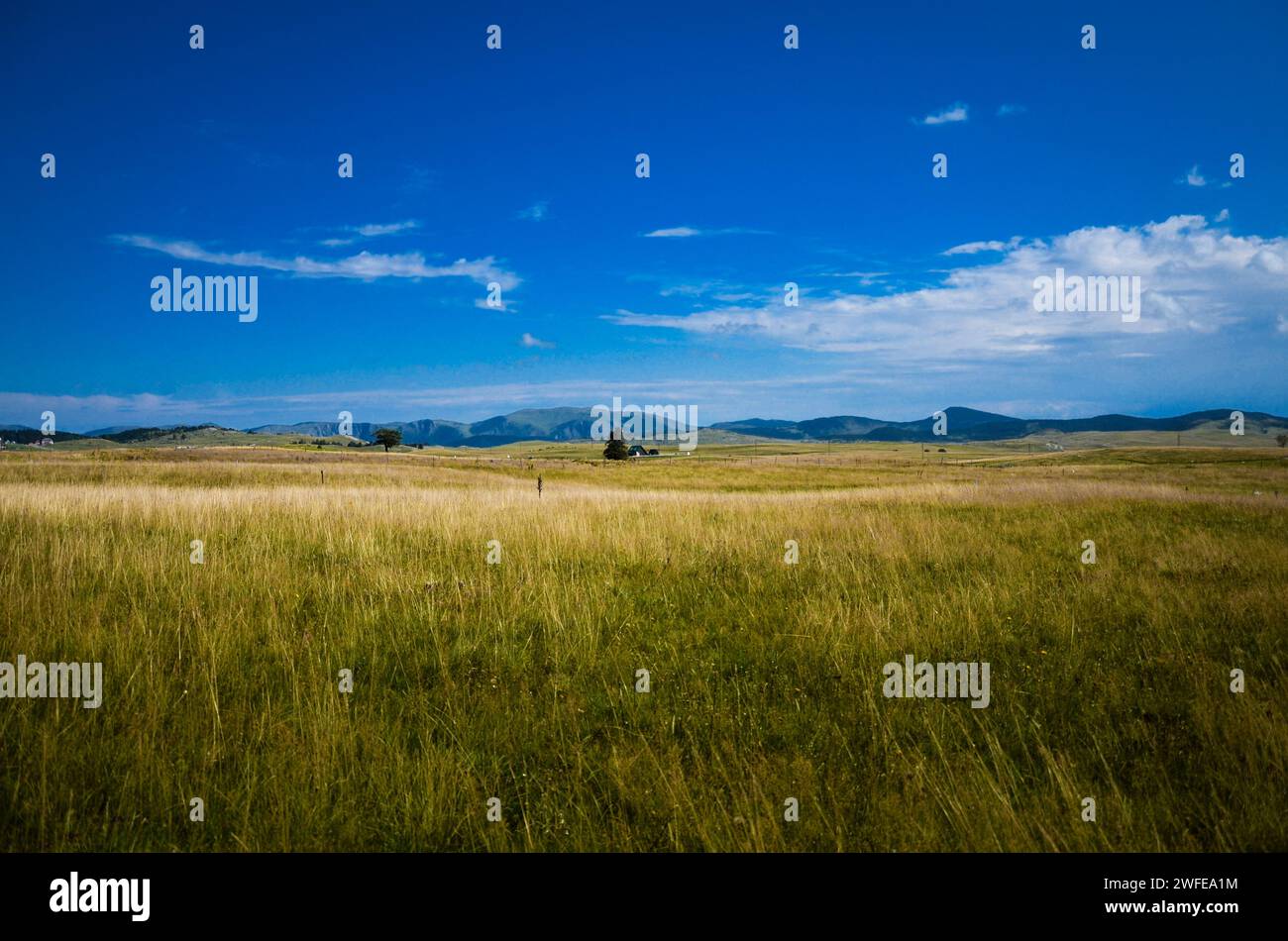 Idyllische Landschaft mit grüner Wiese und blauem Himmel. Stockfoto