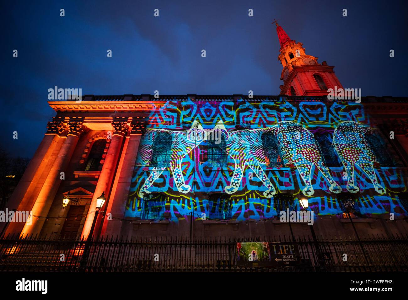 London, Großbritannien. 30. Januar 2024. „Life“-Installation in der St. Martin-in-the-Fields-Kirche. Das spektakuläre und farbenfrohe Lichterlebnis, das von dem Künstler Peter Walker und Luxmuralis produziert und präsentiert wurde, versetzt die Besucher in projizierte Lichtkunstwerke, die geschaffen wurden, um die natürliche Welt zum Leben zu erwecken und uns Zeit zu geben, über unsere Verantwortung nachzudenken, sie zu schützen. Guy Corbishley/Alamy Live News Stockfoto