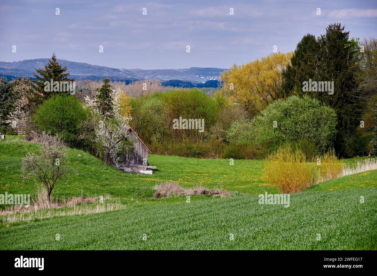Entspannende Frühlingslandschaft in der Fränkischen Schweiz in Kalchreuth bei Nürnberg Stockfoto