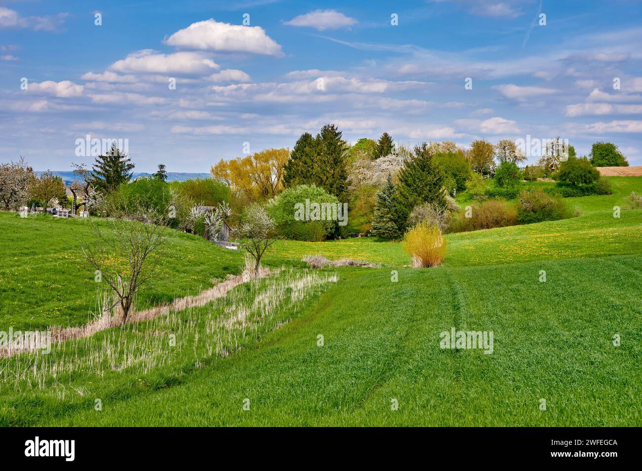 Entspannende Frühlingslandschaft in der Fränkischen Schweiz in Kalchreuth bei Nürnberg Stockfoto