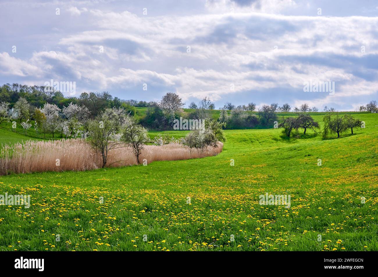 Entspannende Frühlingslandschaft in der Fränkischen Schweiz in Kalchreuth bei Nürnberg Stockfoto