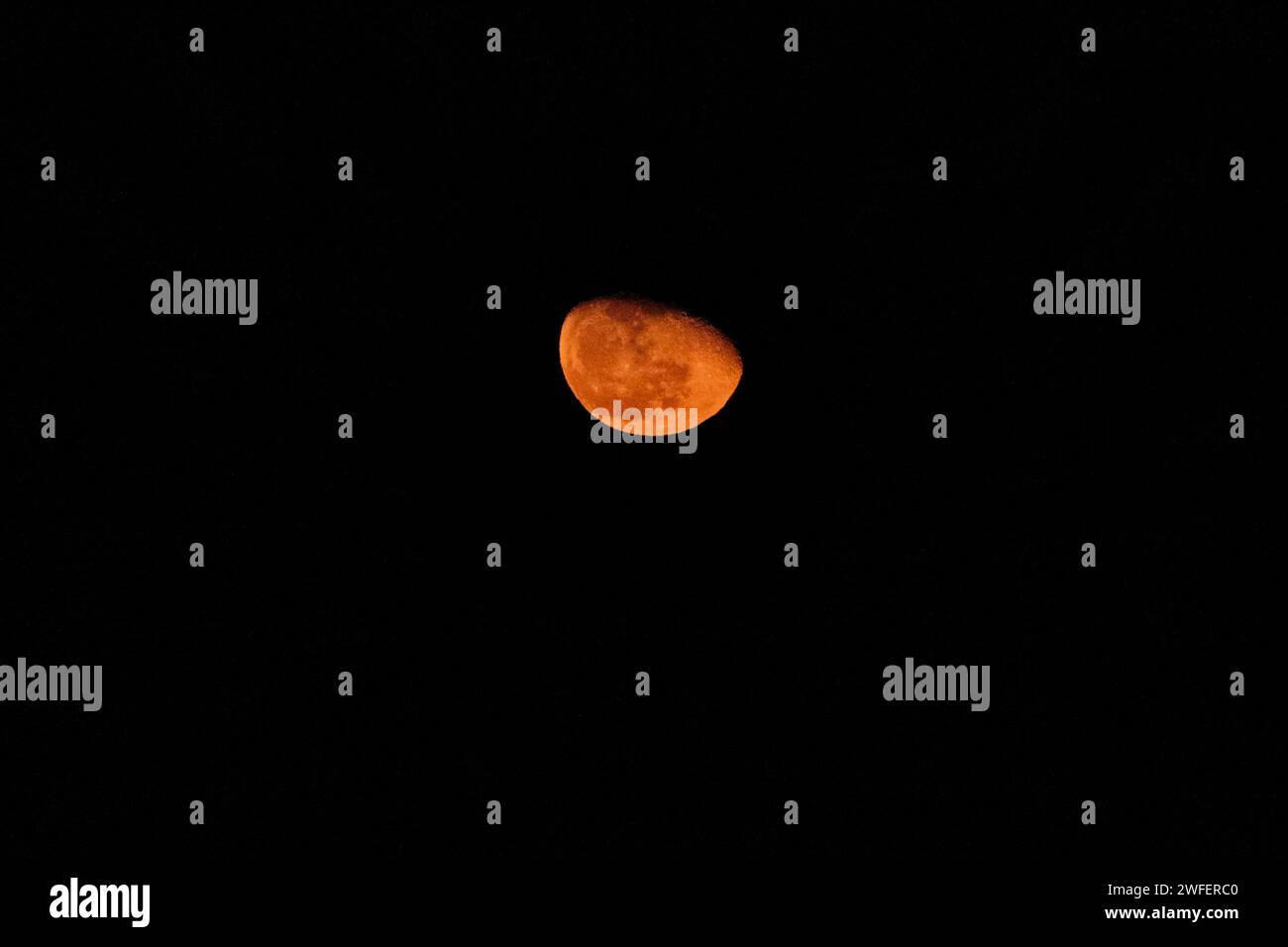 Mond, Gibbous Phase. Heute und heute Abend wird die Mondphase nachlassen. Dies ist die erste Phase nach dem Vollmond und dauert etwa 7 Tage. Der Mond hat eine kupferfarbene Farbe das Phänomen wird durch Rayleigh-Streuung des Sonnenlichts durch die Erdatmosphäre verursacht und seine Wahrnehmung wird durch die atmosphärische Brechung verstärkt. Sie tritt beim auf- oder Untergang des Mondes und während seiner Sonnenfinsternisse auf. ABPH6953 Copyright: XAntonioxBalascox Stockfoto